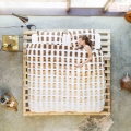 Pościel Snurk Toast 200 x 200 cm