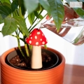 System nawadniający Doiy Amanita