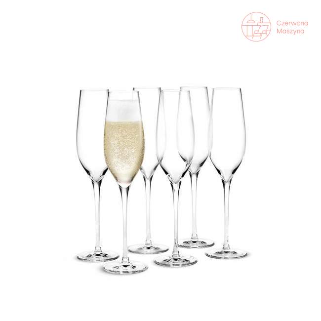6 kieliszków do szampana Holmegaard Cabernet 360 ml