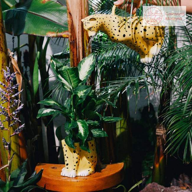 Konewka Doiy Urban Jungle Cheetah