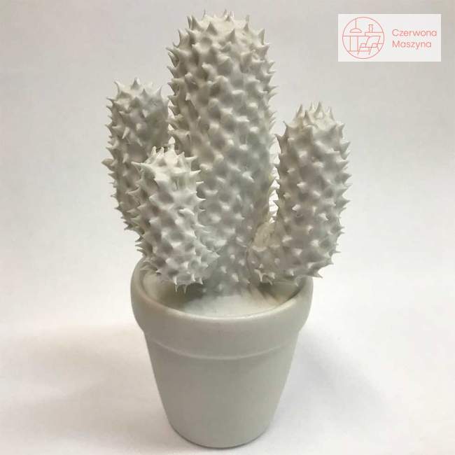 Kaktus dekoracyjny Kare Design biały OU3