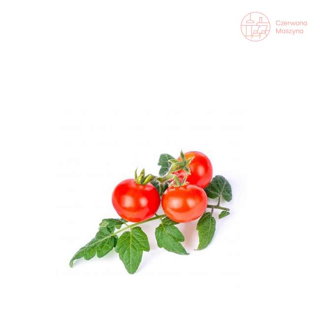 Wkład nasienny Veritable Lingot Pomidor koktajlowy