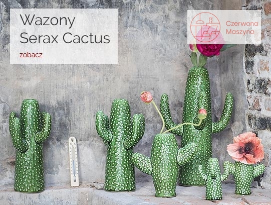 Wazony Serax Cactus